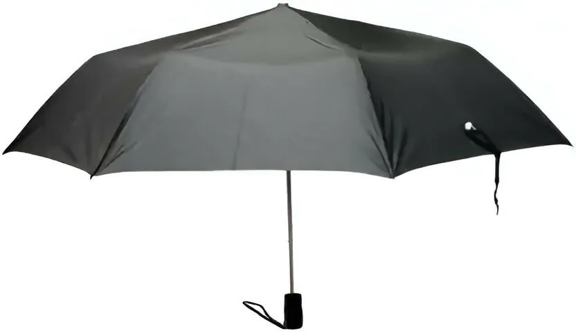 Compact 2-Fold Black Umbrella