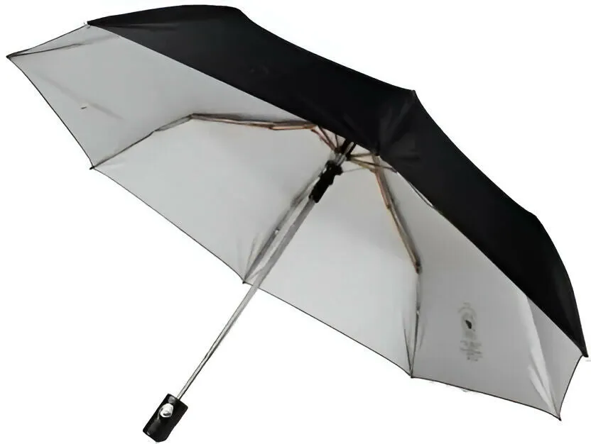 Compact 2-Fold Black Umbrella